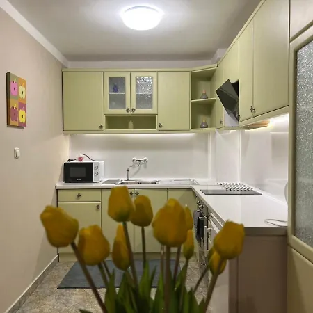 Luxury Ani アパート *