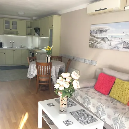 Luxury Ani アパート *