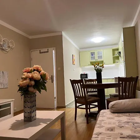 Luxury Ani Apartment